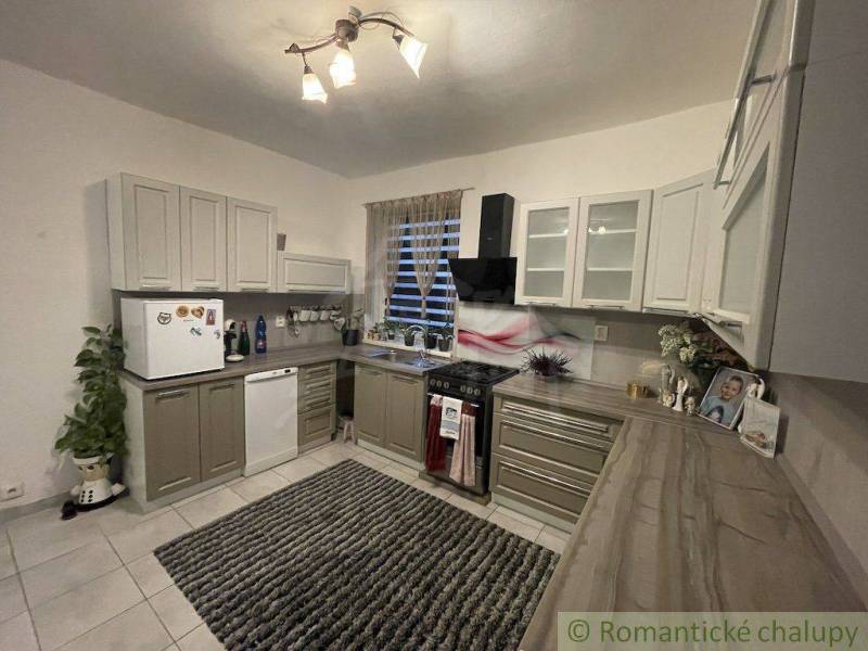 Kitchen and family house with a countertop, appliances, a white refrigerator, and decorative elements.