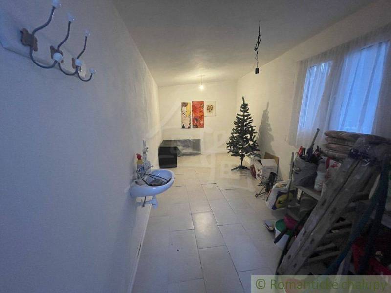 A narrow room with a sink, a tree, shelves, paintings. An ideal part for a family house.