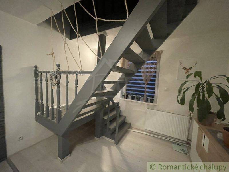Interior of a family house with wooden stairs, a houseplant, and a wall with a deer painting.