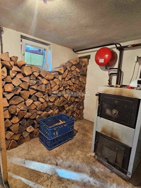 Boiler room in a family house with stacked wood and a heating boiler.