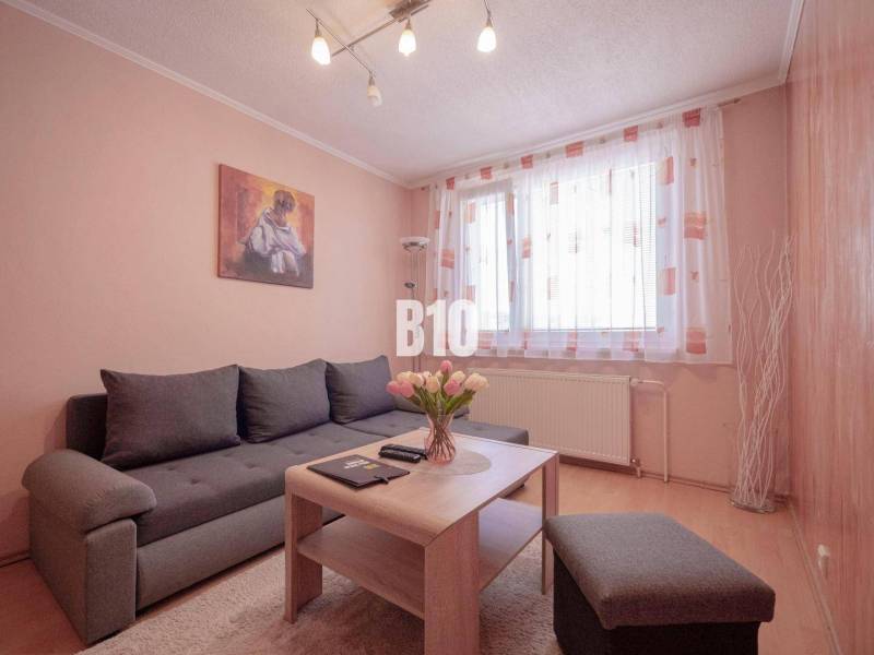 Living room with a gray sofa and a painting, 3-room apartment.