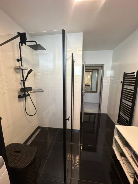 A bathroom with a shower, black tiles, and storage spaces in a family house.