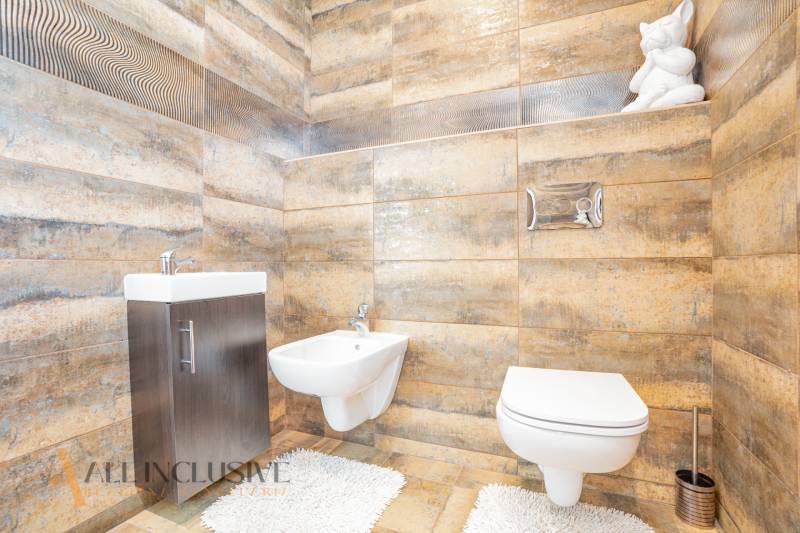 A bathroom in a family house with a sink, a toilet, and a decorative figurine on a shelf.