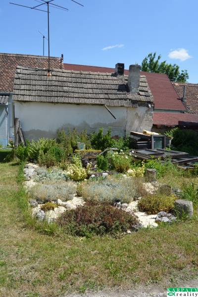 A garden at an older house with vegetation and gravel flower beds in Borský Svätý Jur.