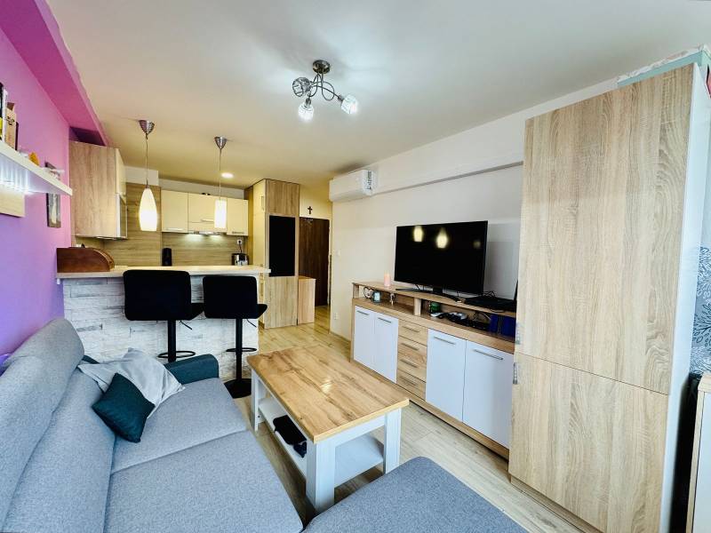 Living room in a two-room apartment with a kitchenette, sofa, and television.