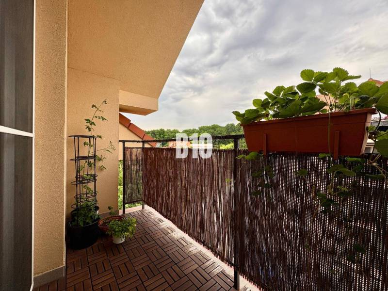 A balcony with plants in a 3-room apartment in Nitra, overlooking greenery.