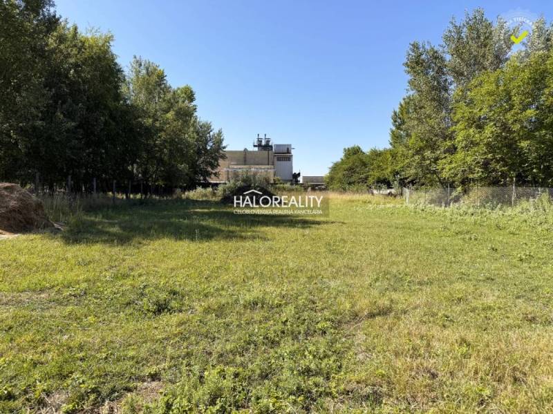 Plots - housing in Veľký Meder with grassy areas and trees, suitable for construction.
