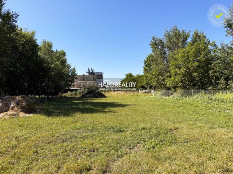 A green plot designated for residential living in Veľký Meder, surrounded by trees and grass.