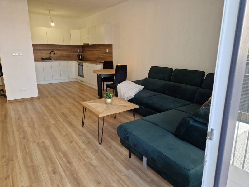 Living room with a kitchenette, sofa, and wooden floor in a two-room apartment.