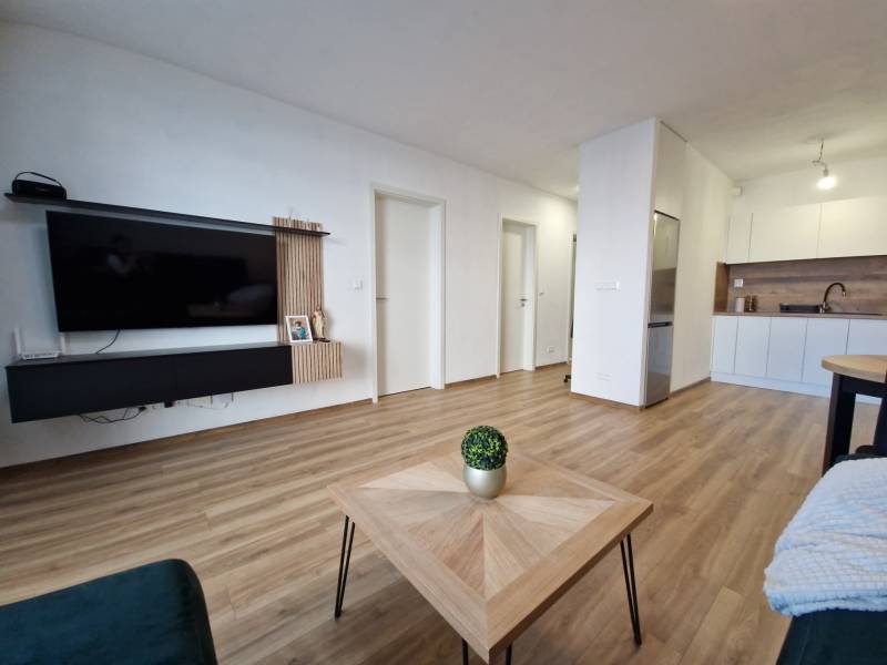 Living room in a 2-room apartment with a television, wooden floor, and kitchenette.