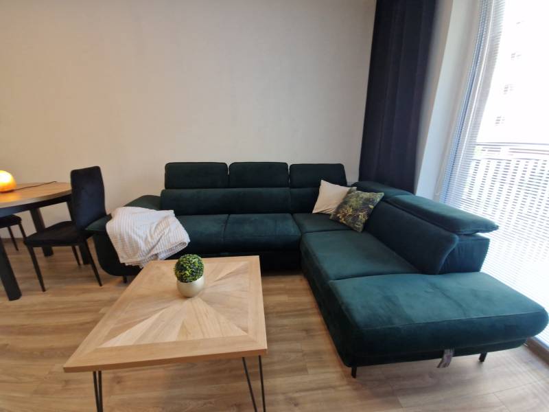 A comfortable sofa in a 2-room apartment with a wooden table and a houseplant.