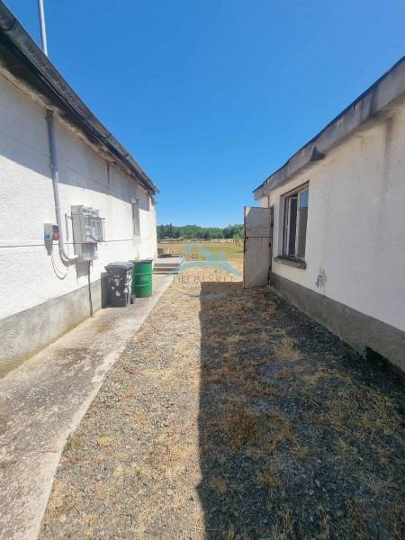 The exterior of a family house in Ipolyvec with a concrete walkway and a grassy area.
