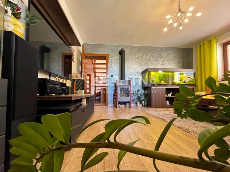 Living room in a family house with a fireplace, aquarium, and wooden details.