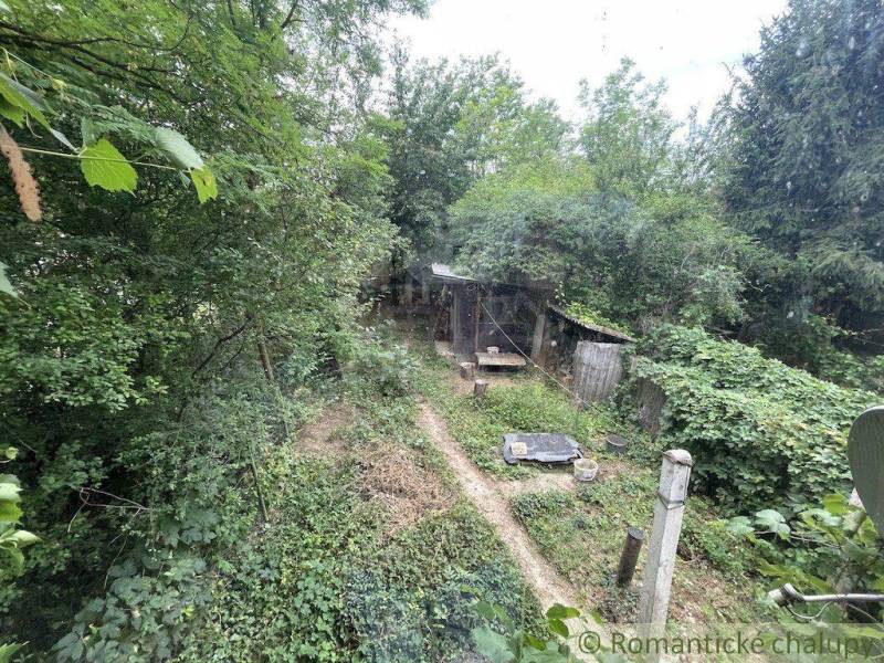 An overgrown garden at a family house in Branč, surrounded by dense trees and bushes.