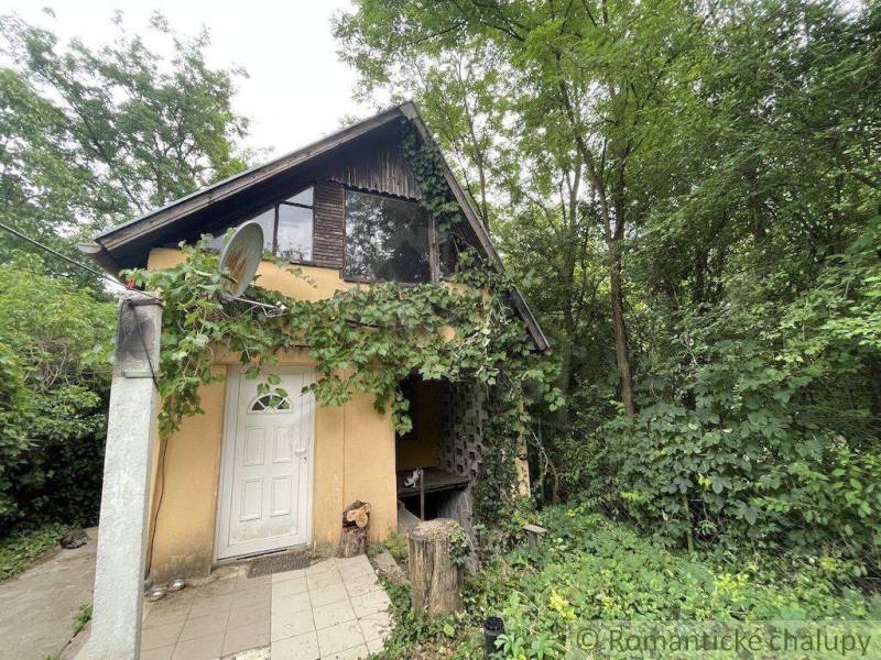 A family house in Branč surrounded by trees, vine on the facade, and a satellite dish.