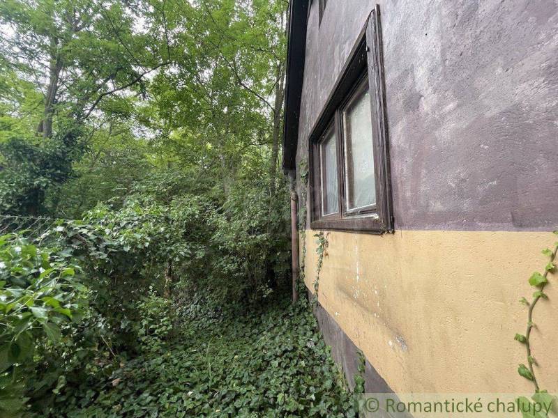 A family house in Branč surrounded by dense vegetation and green plants.