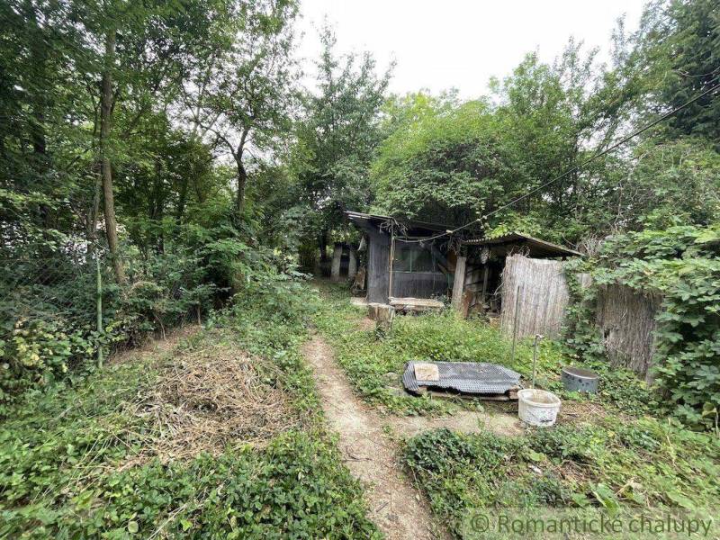 An overgrown garden by a family house in Branč with an old wooden shed.