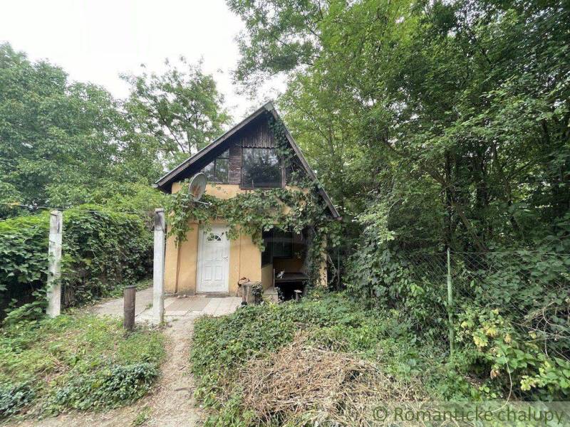 A family house in Branč amidst green nature, surrounded by trees and shrubs.