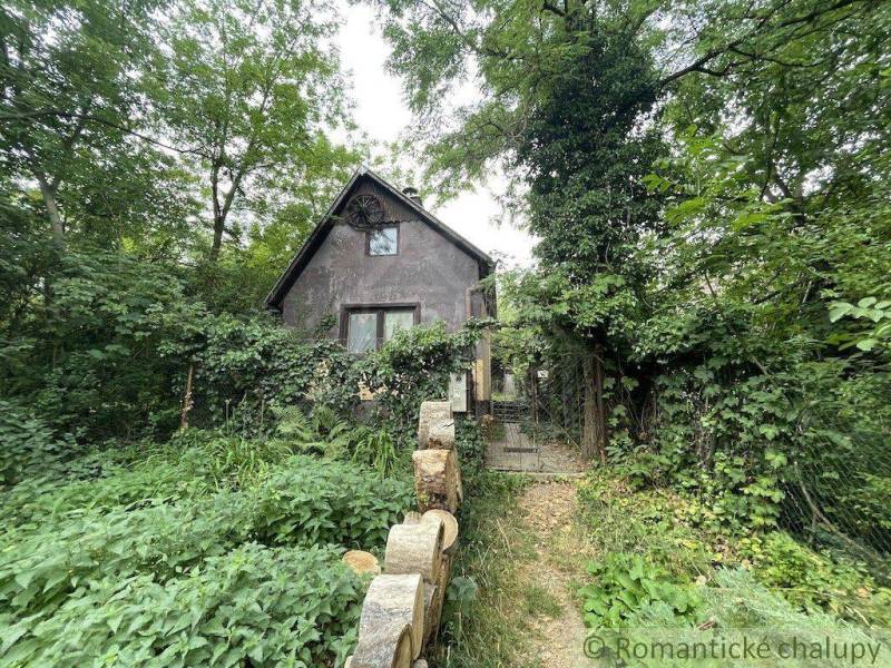 A family house in Branč surrounded by dense greenery, giving it a natural appearance.