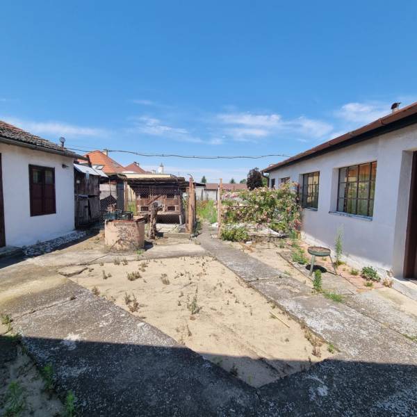 The courtyard of a family house on Riadok in Malacky with modifications and greenery.