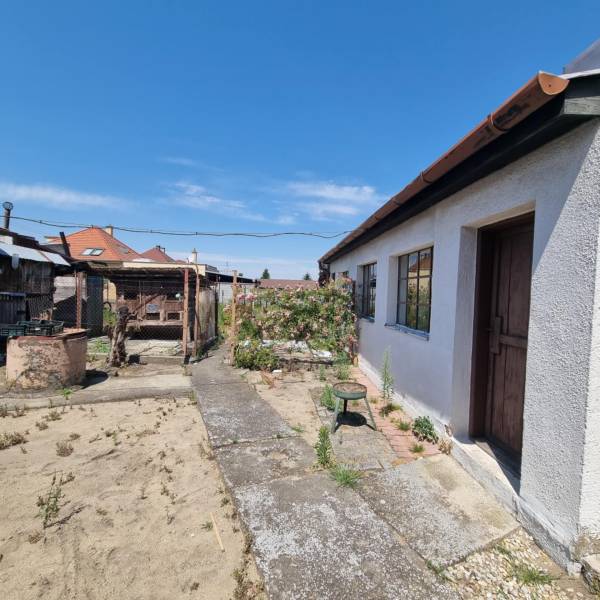 A family house on Riadok Street in Malacky with an older garden and yard.
