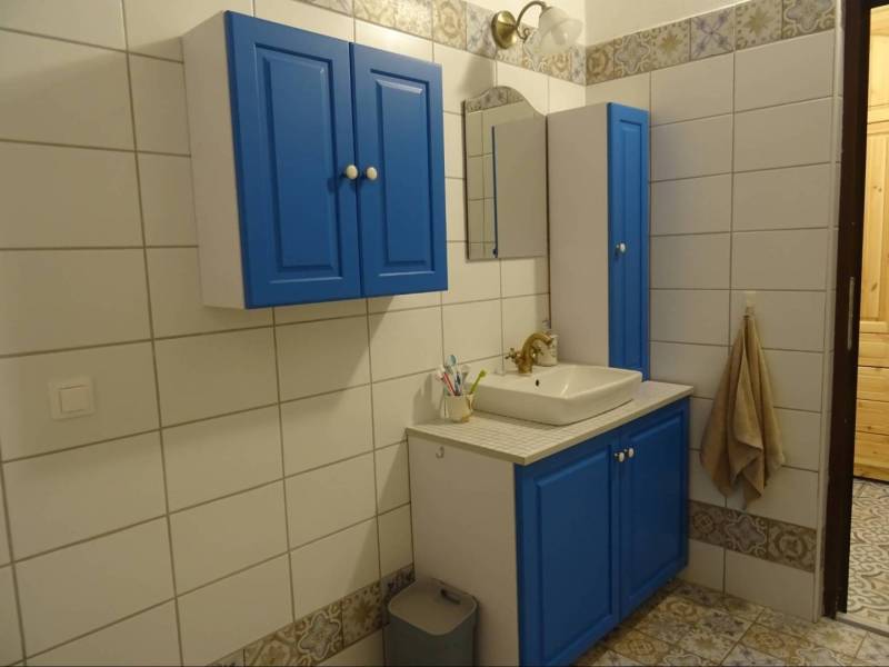 A family house bathroom with blue cabinets, a mirror, and patterned tiles.