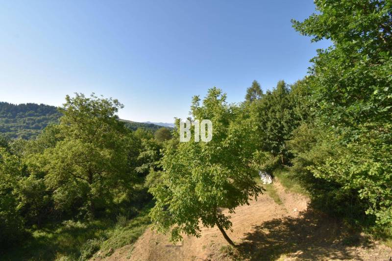A forest landscape near a cottage in Bytča surrounded by trees and green hills in the distance.
