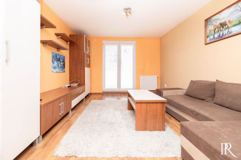 Living room in a two-room apartment with a sofa, furniture, and a painting on the wall.