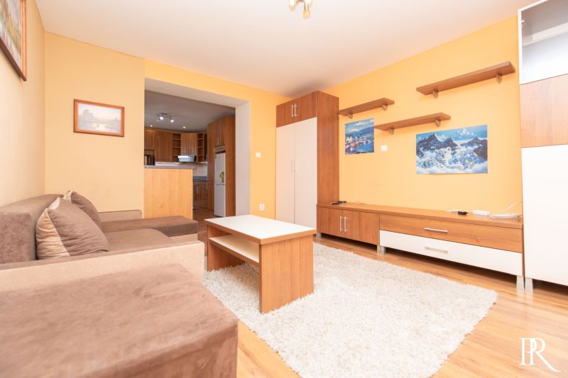 Living room in a two-room apartment with a sofa, furniture, and a view into the kitchen.