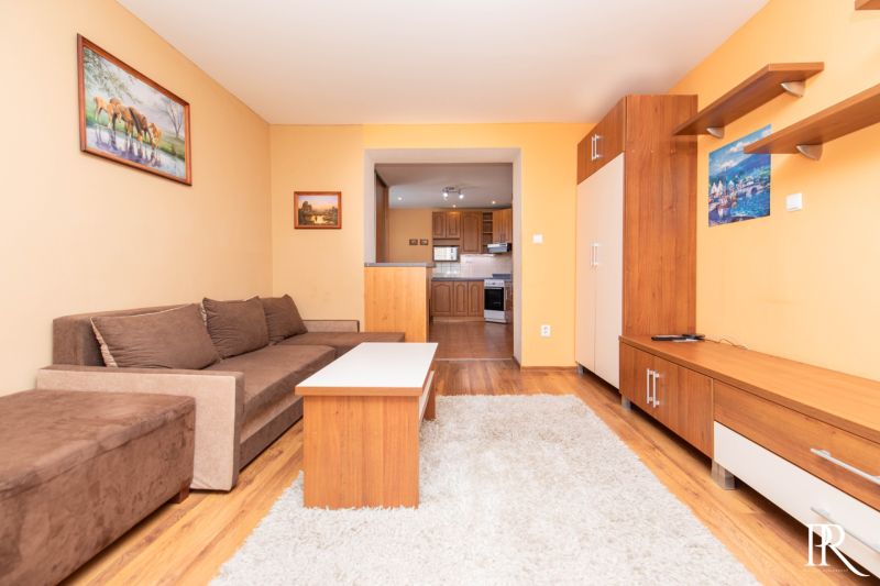 Living room in a two-room apartment with a comfortable sofa, wooden furniture, and decorations.