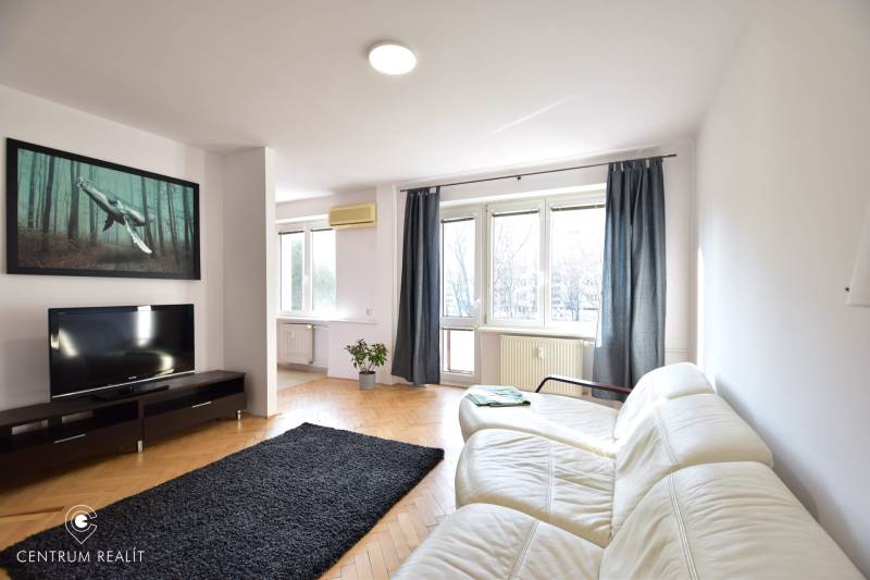 A bright living room with a white couch, black rug, and large windows in a two-room apartment.