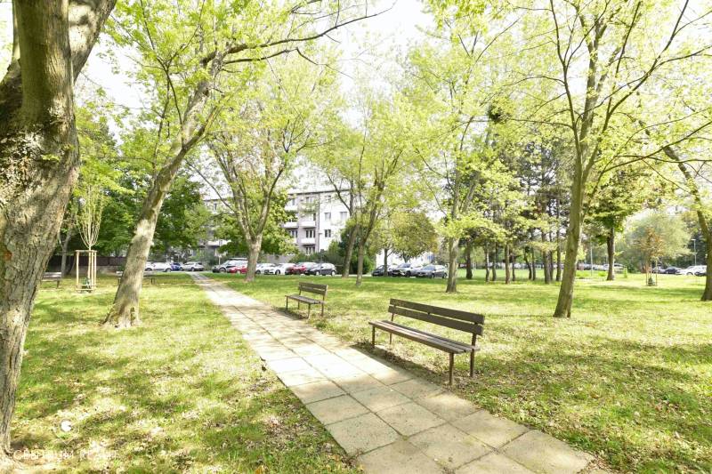 Park in Bratislava - Ružinov, Smolnícka, trees, benches and a walkway, atmosphere of relaxation.