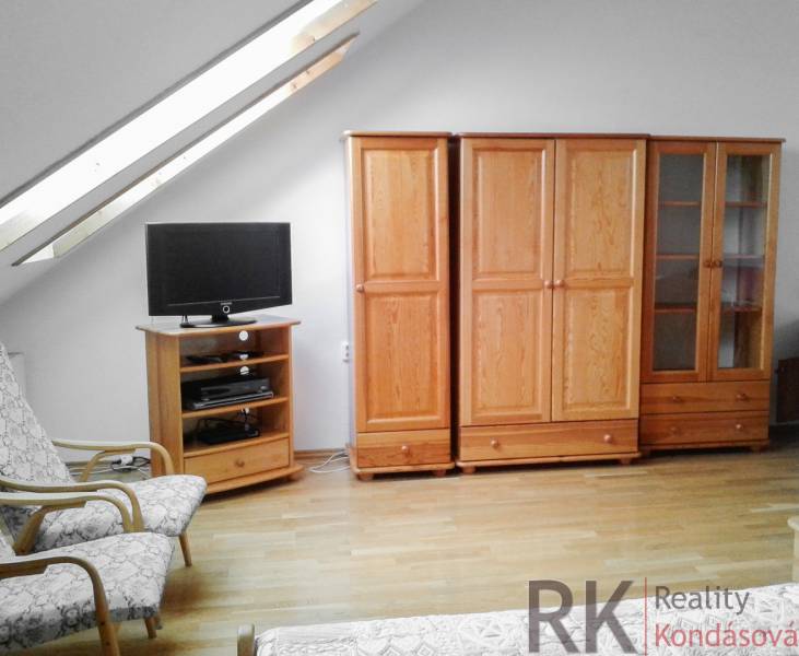 Skylight, wooden furniture, and a television in the living room of a two-room apartment.