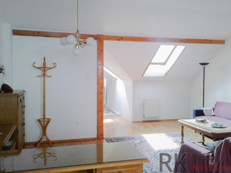 A living room in a two-room apartment with a skylight, an armchair, and a wooden coat rack.