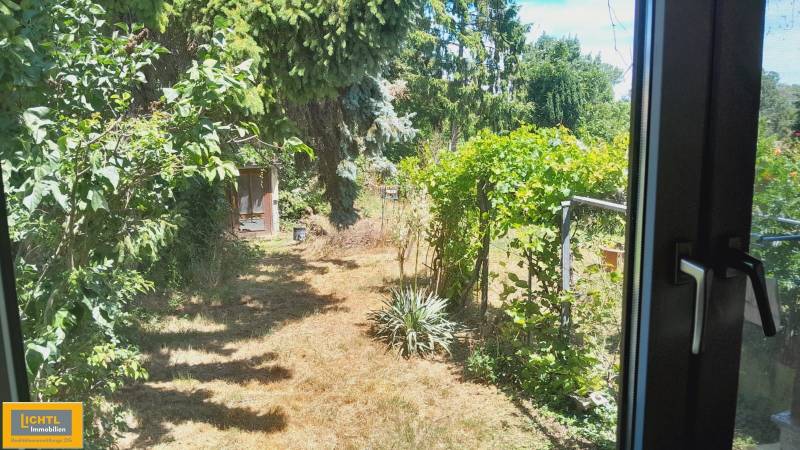 A cozy garden of a family house in Potzneusiedl with lush vegetation and trees.