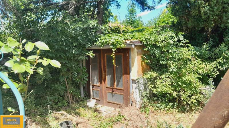An overgrown garden with a small cottage near a family house in Potzneusiedl.