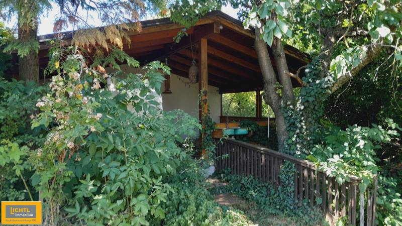 Overgrown terrace of a family house in Potzneusiedl surrounded by trees and greenery.
