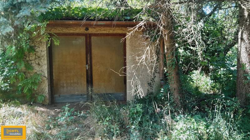 An overgrown garden at a family house in Potzneusiedl, with dense vegetation and wooden doors.