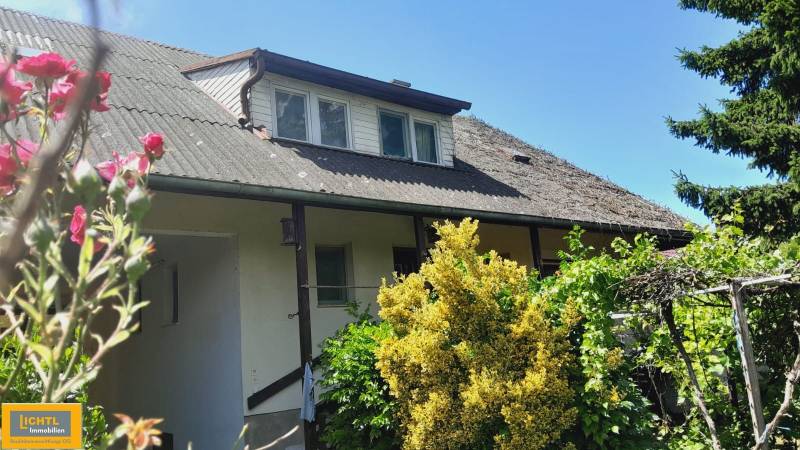 A family house in Potzneusiedl with flowers, shrubs, and a sloped roof surrounded by greenery.