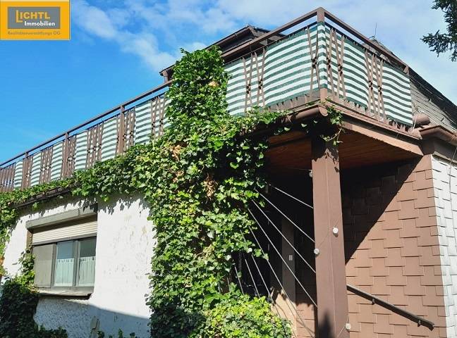 A family house in Hundsheim with a terrace surrounded by greenery and climbing plants.