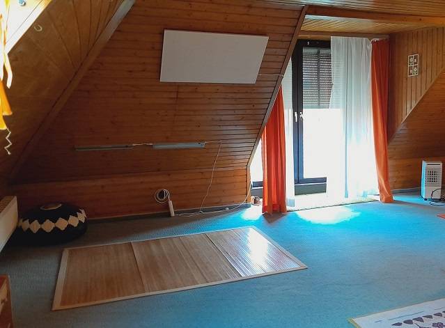 Attic room of a family house with wooden paneling and a skylight.