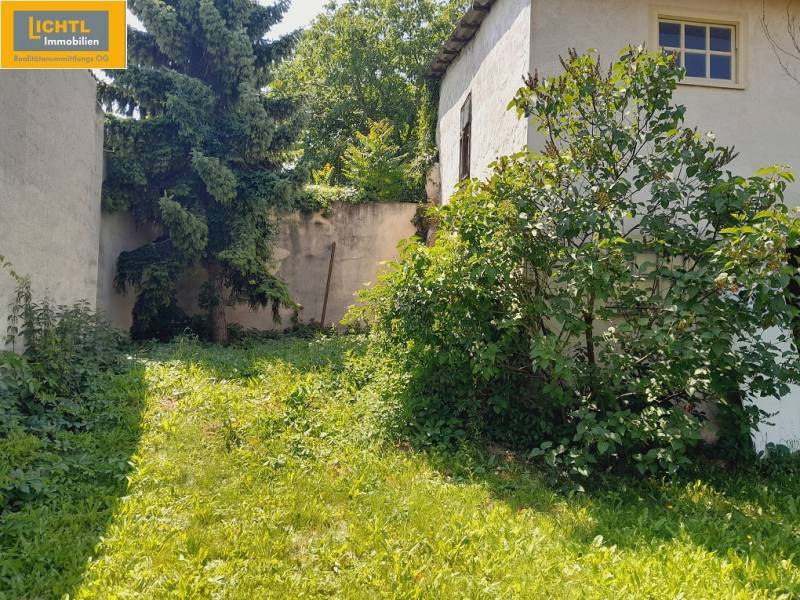Garden in Grossinzersdorf with a grassy area and shrubs by the walls of the gastro premises.