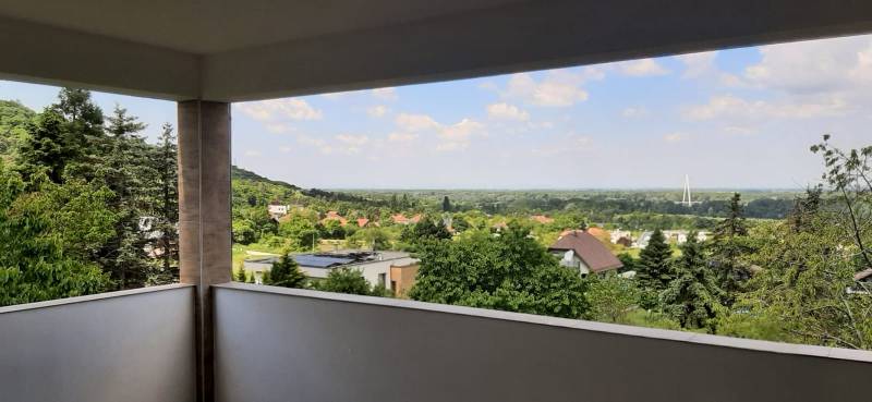 View from the villa of greenery and the city of Hainburg an der Donau in the distance.
