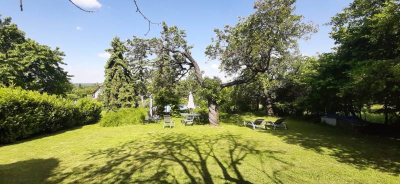 The garden of the villa in Hainburg an der Donau with a lawn, trees, and outdoor seating.