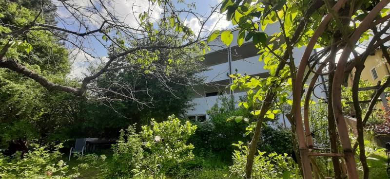 A villa in Hainburg an der Donau surrounded by greenery and trees under a blue sky.