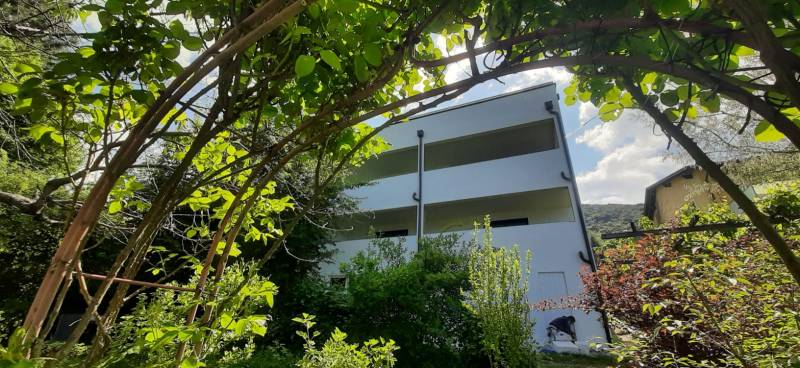 A villa in Hainburg an der Donau surrounded by greenery and trees.