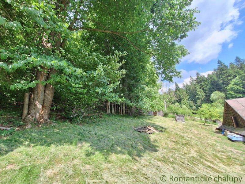 A grassy plot with dense trees and a cottage on the edge of the forest in Zákopčie.