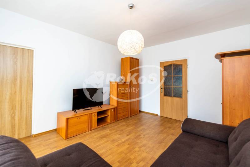 Bright living room in a two-room apartment with a sofa and a television.