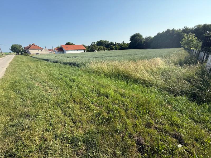 Grassy plots for living in Bojná; houses, fields, and a road next to the forest.