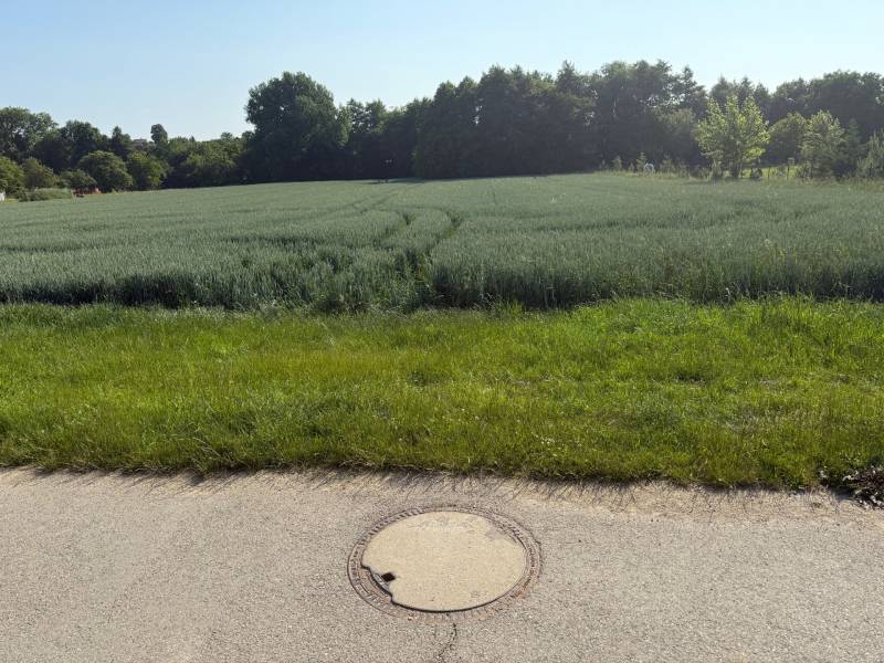 Greenery and fields surrounded by trees, ideal for plots - living in Bojná.